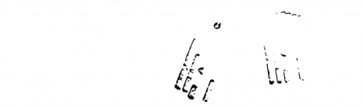 Platoon (USA) logo